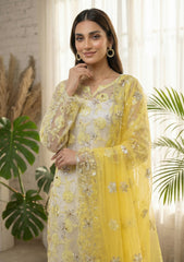 Formals - Riwaj - Fancy Net - 2 Pcs Suit - D#01 - Yellow