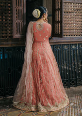 Formal Collection - Roheenaz - Pehli Si Muhabbat - Wedding - Shafaq