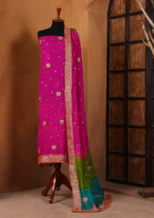 Formals - Bahawalpur Pehnawa - Chiffon - 2 Piece - D#22
