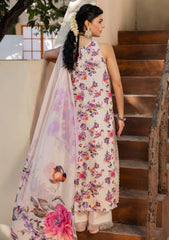 Winter - Humdum - Zaiba - Karandi 25 - D#09