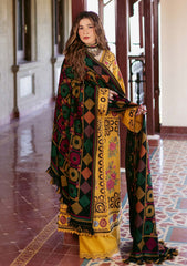 Winter Collection - Maryam Hussain - Winter Shawl 24 - D#5 - Hazel