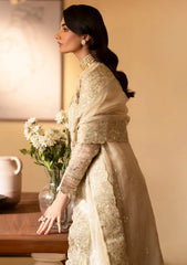 Formals - Dressline - Sania Rangeeli 25 - ZS#0035