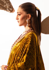 Winter - Bin Ilyas - Saqqara - Fall/Winter'25 - D#163 A