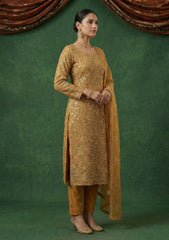 Formals - Riwaj - Fancy Net - 2 Pcs Suit - CND#1208 - Mustard