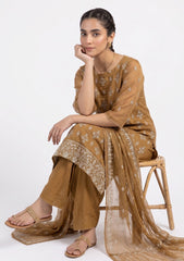 Formals - Riwaj - Fancy Net - 2 Pcs Suit - CND#02 - Golden Brown