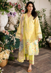 Lawn Collection - Rang Rasiya - Lifestyle - RL24#9 - Sun Kissed