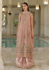 Formals - Noor By Saadia Asad - Festive Unstitched 25 - NFU#04