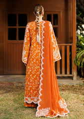 Lawn - Afrozeh - Summer Together 26 - D#005 - Elyora