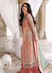Formals - Qalamkar - Shadmani 25 - Wedding Festive - RH#04 - ZEHRA