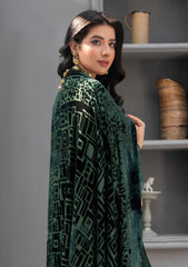 Winter - Meemsey - Monal 25 - Velvet Shawl - MVS#04