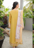 Lawn Collection - Qalamkar - Qline - JK24#15 - Miel