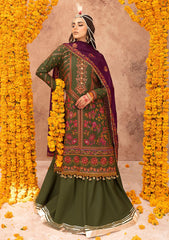 Winter Collection - Bin Ilyas - Laal - Luxury - BL#1513-A