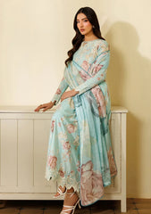 Pret - Zarif - Amani Eid 26 - ZL-RTW#01 - BAANI