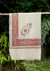 Pashmina Emb Palu Border Shawl  D - 12 - Skin