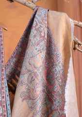 Pashmina Zari Jamawar Shawl D#105 - Multi