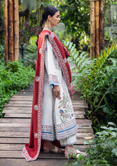 Winter - Mushq - Hemline - Symphony - Karandi Edit 25 - HUN#201 - Coper Blaze