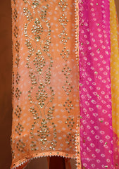 Formals - Bahawalpur Pehnawa - Chiffon - 2 Piece - D#07