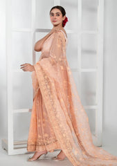 Formals - Imran Aftab - Lux Wedding - Saree 25 - IASC#31