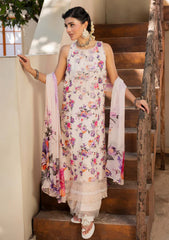 Winter - Humdum - Zaiba - Karandi 25 - D#09