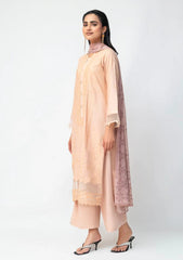 Winter - Ambers Eliana - Ava - Karandi 25 - AEKC-UF#12