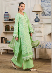 Lawn - Raha - Chikankari Prints 26 - Vol I - D#11