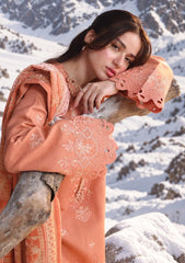 Winter - Rang Rasiya - Carnation Unstitched 26 - RR#02 - Solene