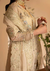 Formals - Dressline - Sania Rangeeli 25 - ZS#0035