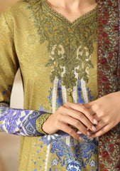 Lawn - Roheenaz - Pareesa 25 - Printed Cambric - RNZ#06B - MIRHA