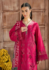 Lawn - Nureh - Bazaar - Embroidered Chikankari 26 - NE#255