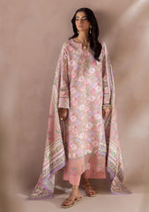 Winter - Raha - Chikankari Karandi 26 -  RCK#04