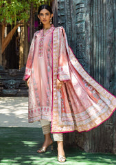 Winter Collection - Mushq - Nirvana - Silk Edit - MN24#04 - Roseate