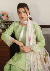 Lawn - Ayleen - Rangkaari - Summer 26 - Aysel