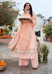 Lawn - Naqsh - Chikankari Festive 26 - D#00194 - Peach Blossom