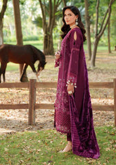 Winter - Parishay - Panache - Palachi Shawl 25 - PNE#04