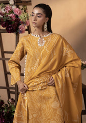 Winter Collection - Humdum - Raya - HR24#05