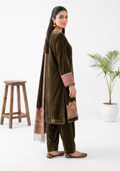 Winter - Riwaj - Velvet Jamawar Patch Work Suit - D#01 - Brown