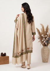 Winter - Riwaj - Pashmina Qalamkar Patch Work Suit - D#04 - Skin