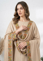 Winter - Riwaj - Pashmina Qalamkar Patch Work Suit - D#06 - Skin