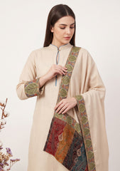 Winter - Riwaj - Pashmina Qalamkar Patch Work Suit - D#09 - Skin