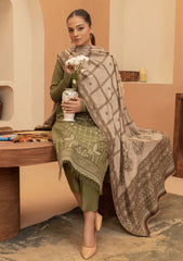 Winter - Humdum - Carvan 25 - D#04