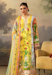 Lawn - Joy - Florum 26 - JPE#04