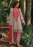 Winter Collection - Charizma - Aniq - Staple - CAES24#04