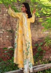 Lawn - Neeshay - Summer Lines - Printkari 25 - BUTTERCUP