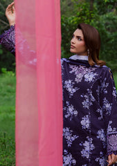 Winter - Parishay - Rang e Sarma - Khaddar 25 - SAR#04