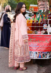 Lawn Collection - Asim Jofa - Basic Prints 24 - AJBB#20