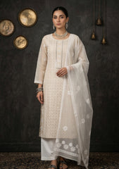 Formals - Riwaj - Fancy 26 -  Thread Work - 2 Pcs - D#01 - Skin
