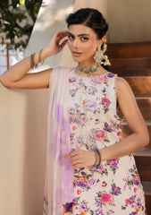 Winter - Humdum - Zaiba - Karandi 25 - D#09