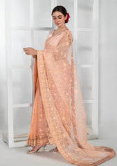 Formals - Imran Aftab - Lux Wedding - Saree 25 - IASC#31