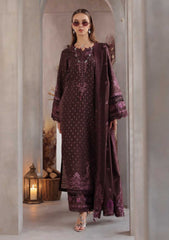Winter - Noor By Saadia Asad - Pashmina Shawl 26 - D#10