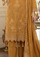 Winter - Meemsey - Noor Jahan - Rangoli Dhanak 25 - D#226 - Mustard